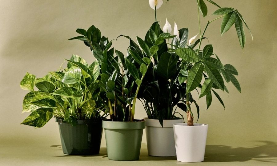 nen-bieu-qua-tet-gi-cho-dong-nghiep-32