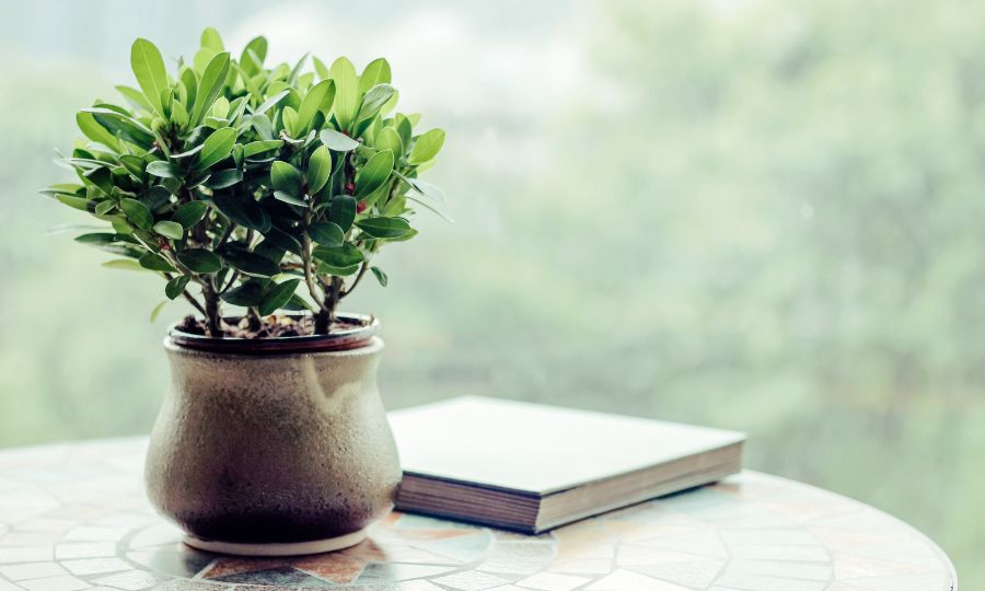 nen-bieu-qua-tet-gi-cho-dong-nghiep-8